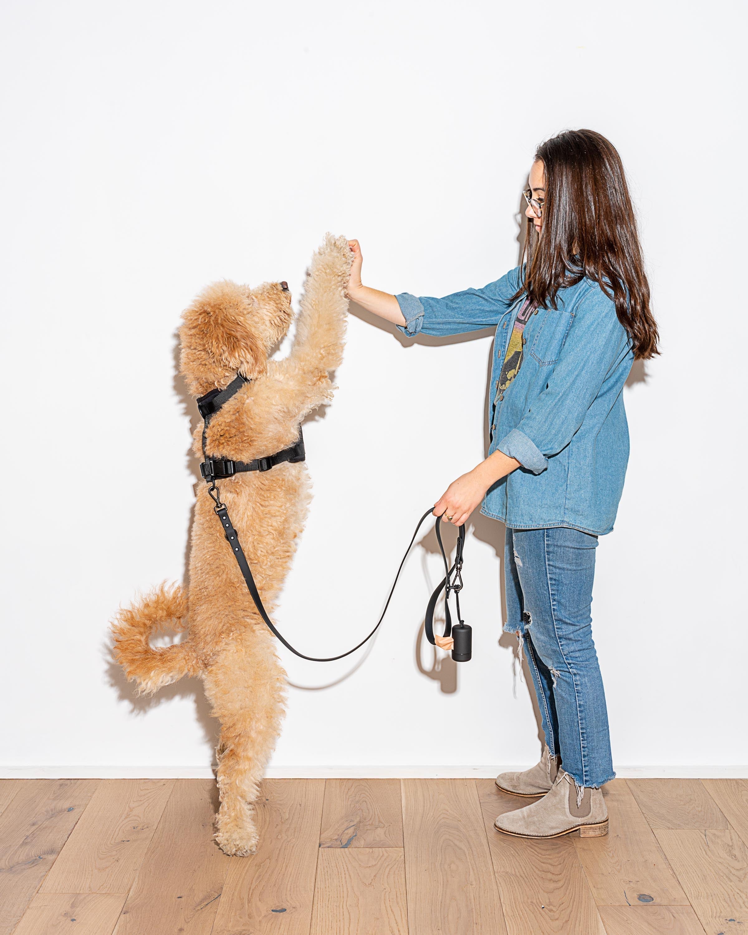 Leash-Attached Dog Waste Bag Dispenser product image 58