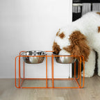 Elevated Pet Feeder product image 6