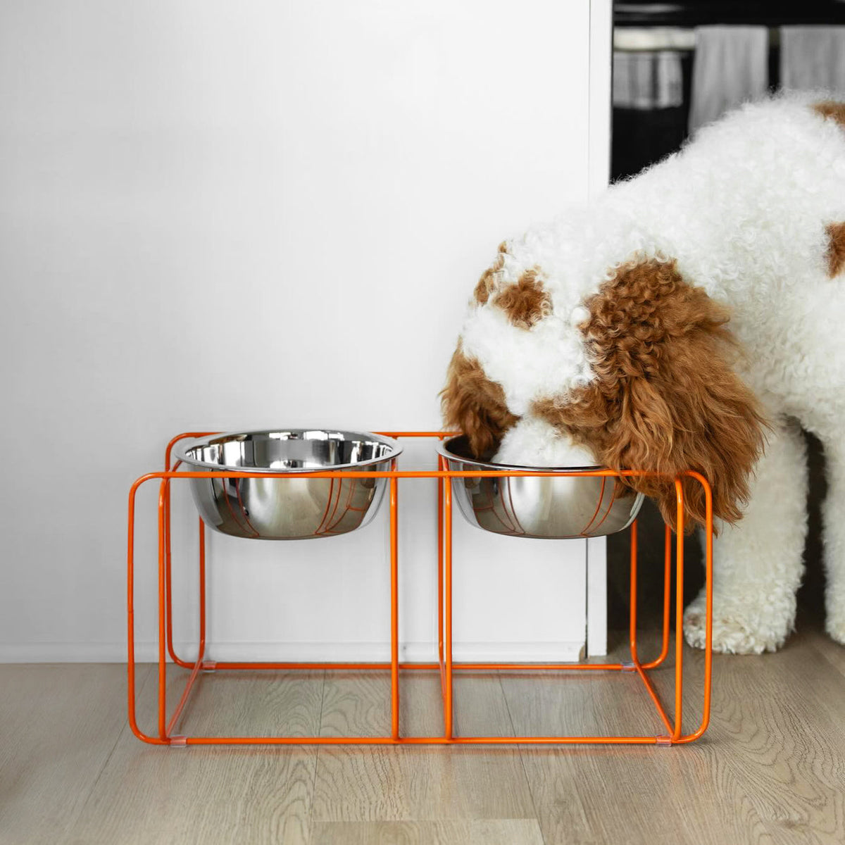 Elevated Pet Feeder product image 6
