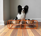 Elevated Pet Feeder product image 7
