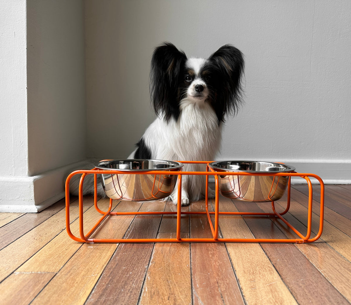 Elevated Pet Feeder product image 7