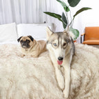 Waterproof Dog Blanket product image 3