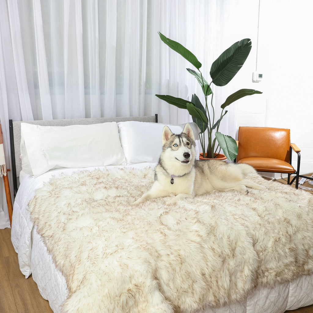 Waterproof Dog Blanket product image 11