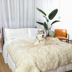 Waterproof Dog Blanket product image 11