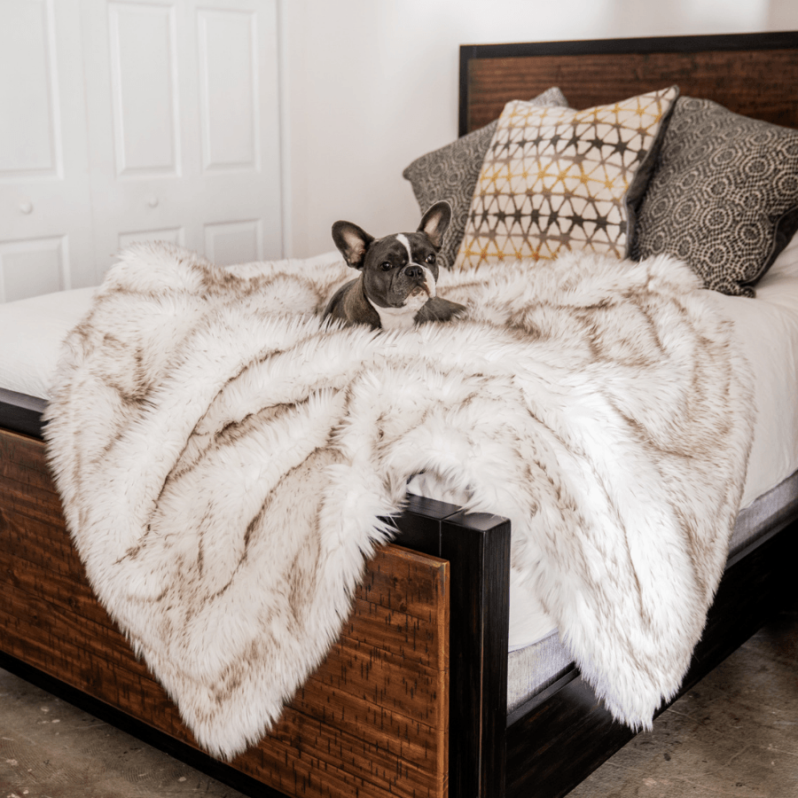 Waterproof Dog Blanket, Original (60"L x 50"W)