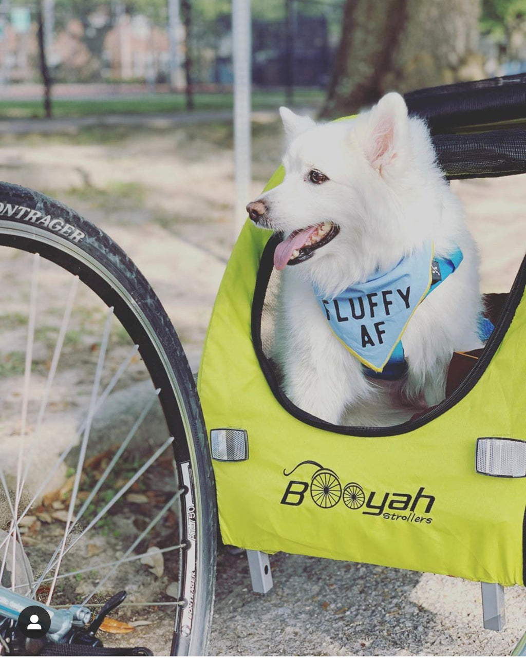 Dog Stroller and Bike Trailer product image 8