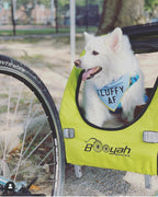Dog Stroller and Bike Trailer product image 8