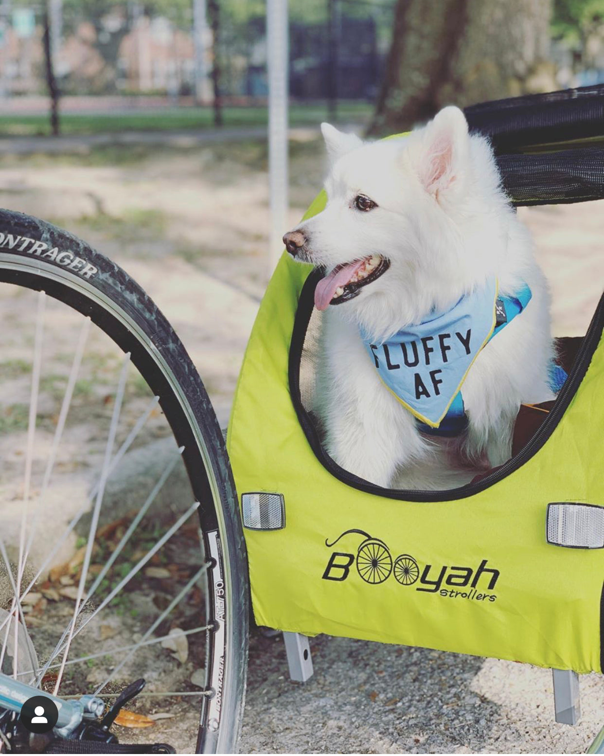 Dog Stroller and Bike Trailer product image 8