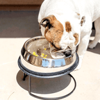 Slow Feeder Bowl product image 1