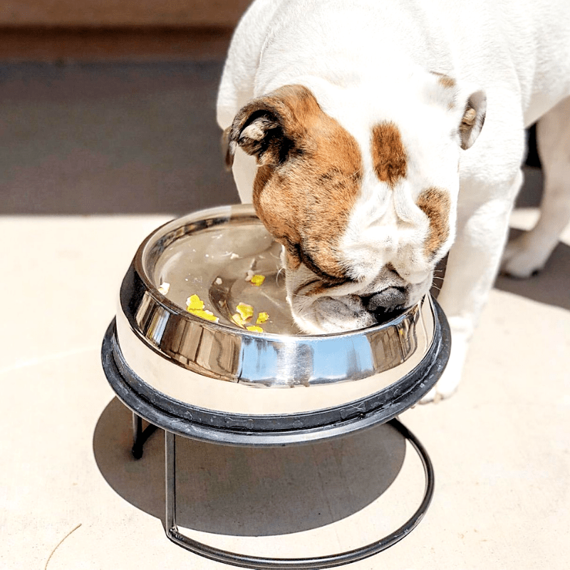 Slow Feeder Bowl product image 1