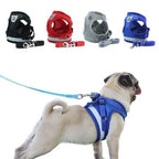 Dog Harness Set product image 1