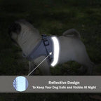 Dog Harness Set product image 4