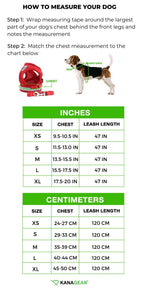 Dog Harness Set product image 9