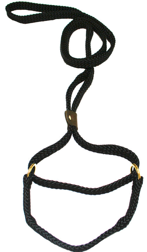 Martingale Dog Lead product image 1