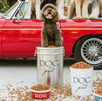Dog Food Storage Canister product image 4