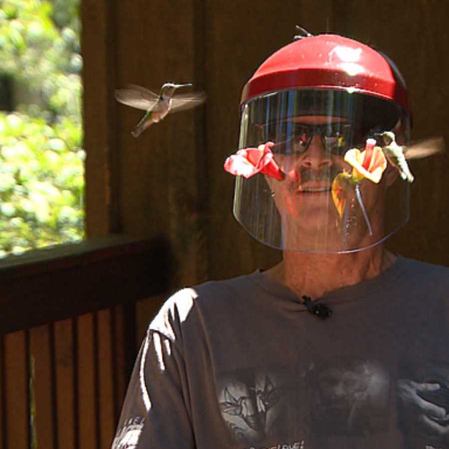 Hummingbird Feeder Mask product image 2