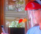 Hummingbird Feeder Mask product image 4