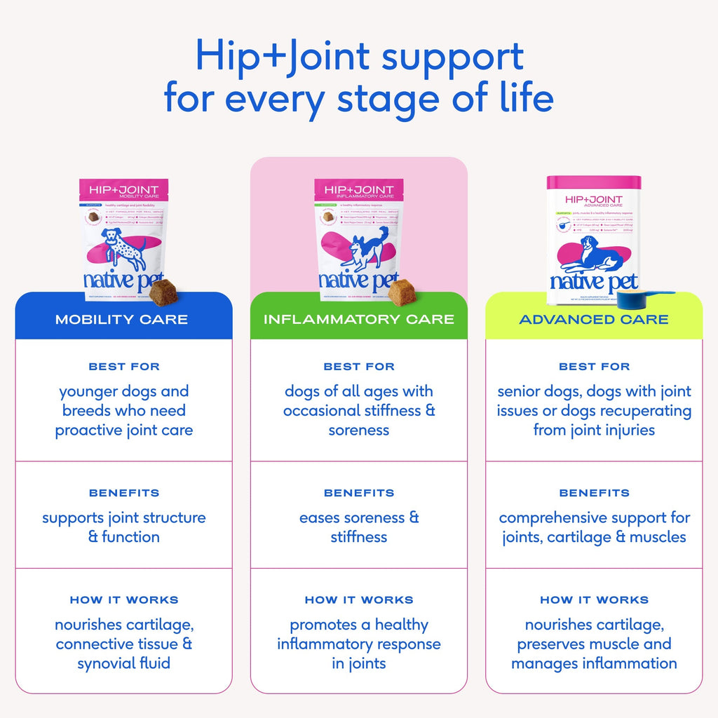 Dog Hip and Joint Support Chews product image 9