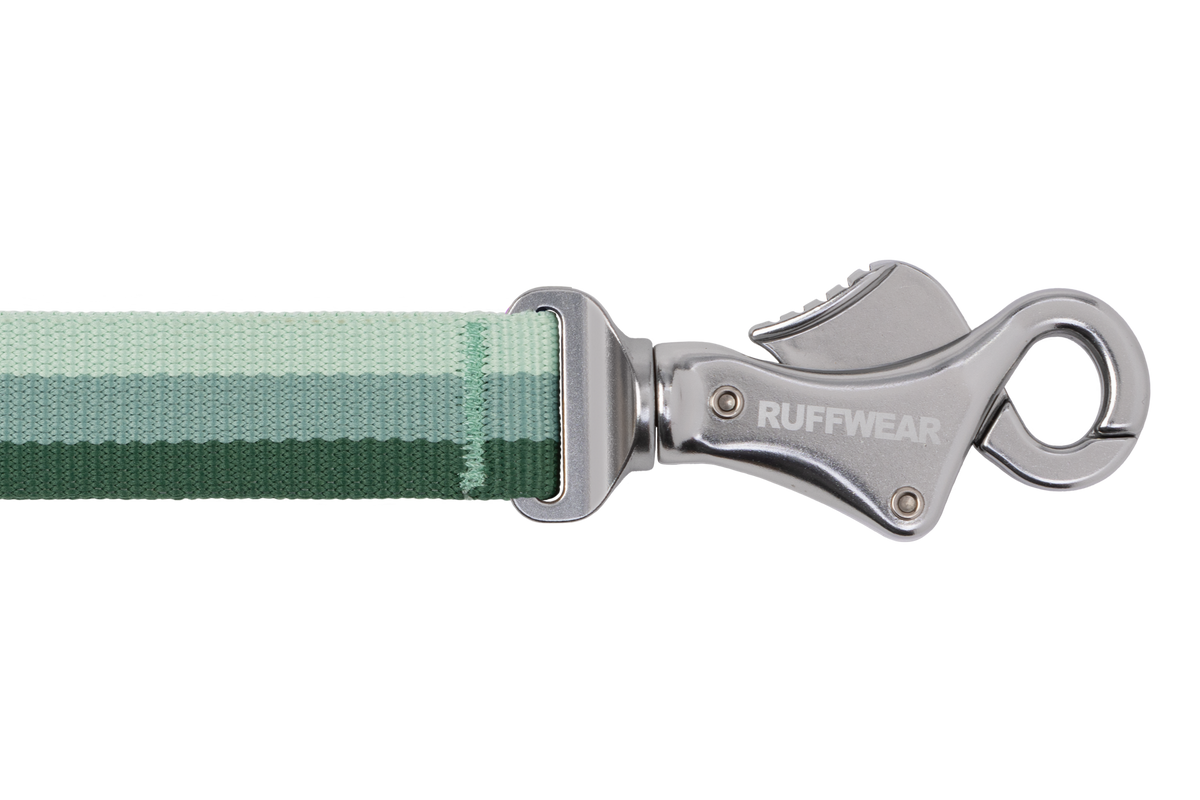 Hands-Free Bungee Dog Leash product image 17