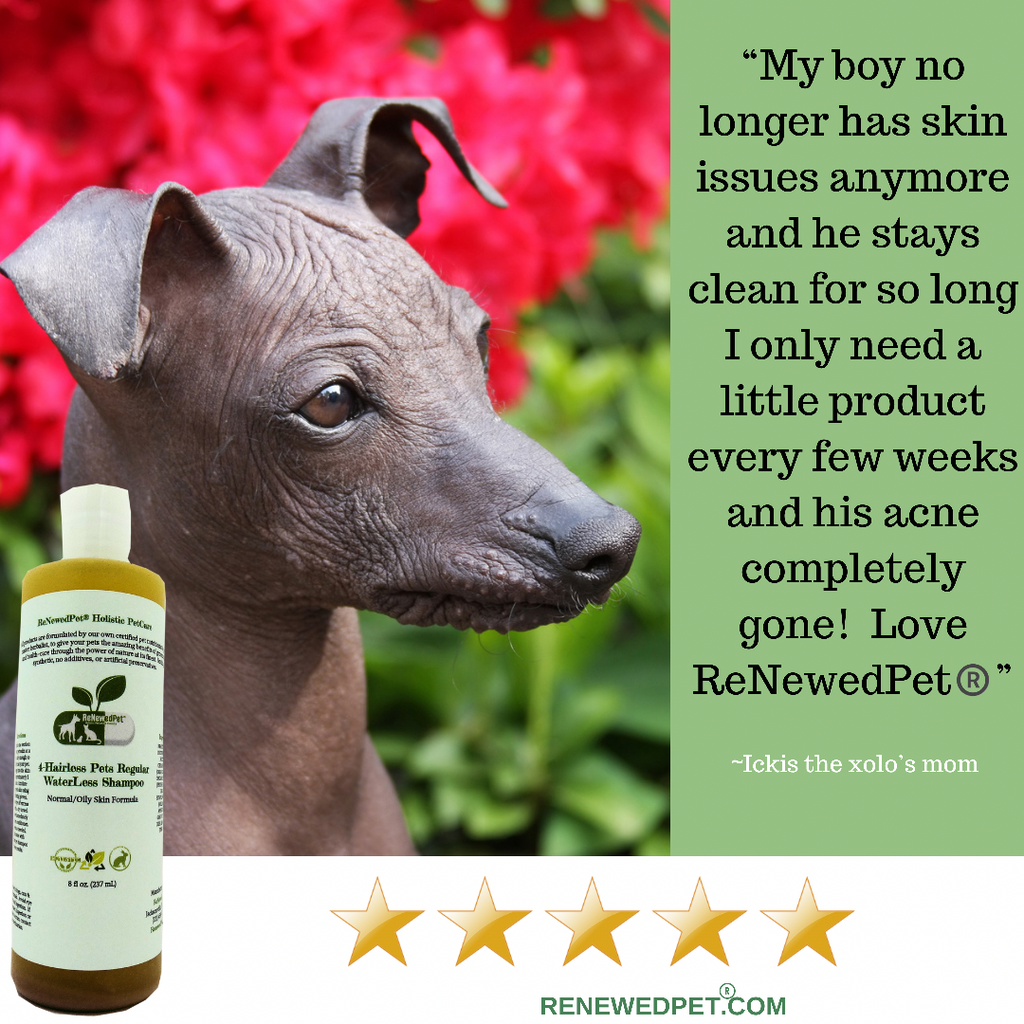 Hairless Pet Conditioner product image 4