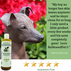 Hairless Pet Conditioner product image 4