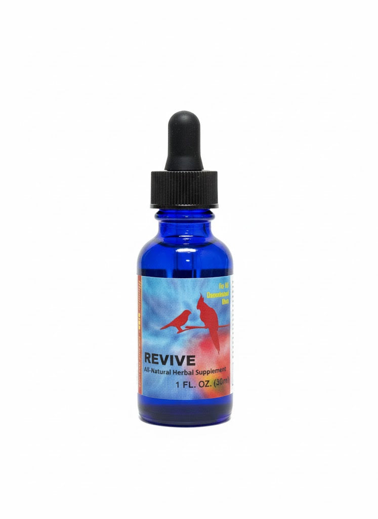 Bird Immune Supplement product image 1