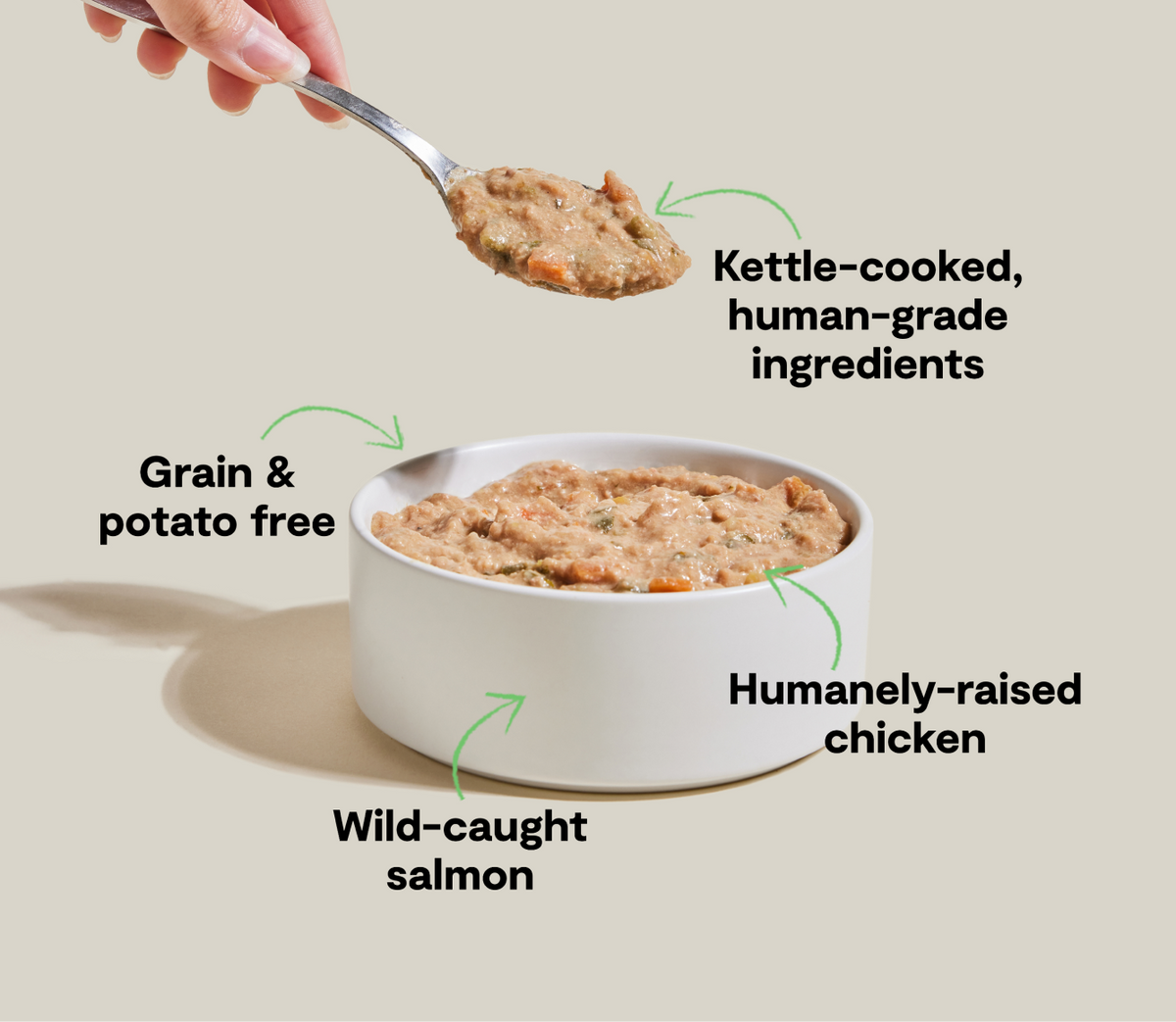 Chicken and Salmon Wet Dog Food product image 4