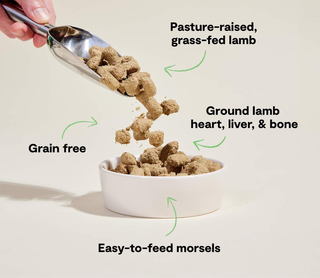 Freeze-Dried Dog Food product image 4