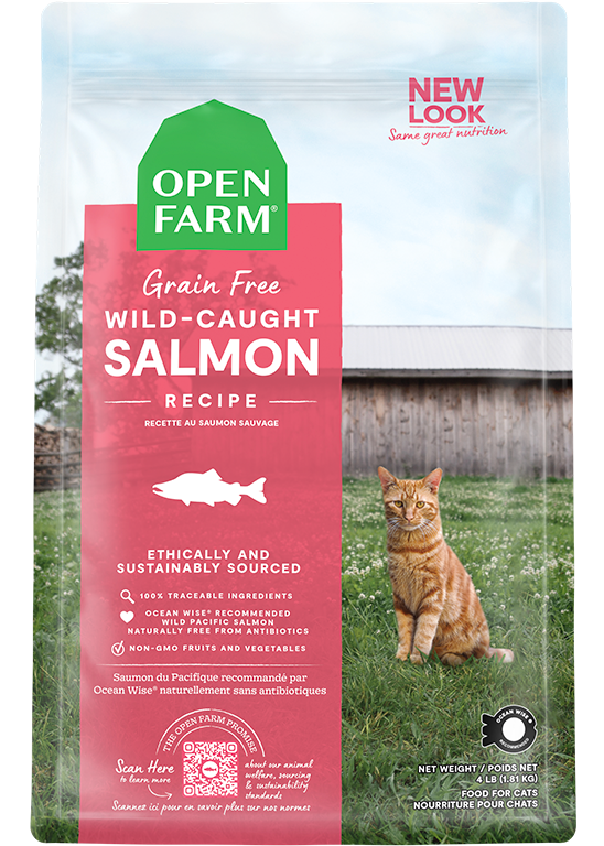 Cat Kibble product image 1