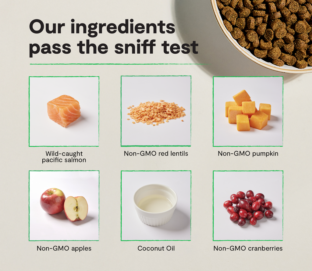 Cat Kibble product image 3