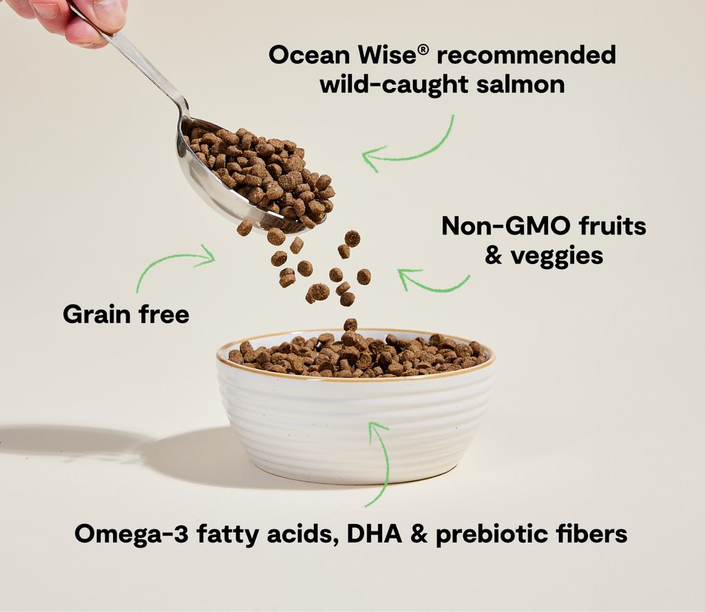Cat Kibble product image 5
