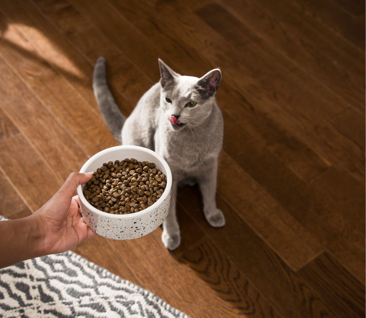 Cat Kibble product image 7