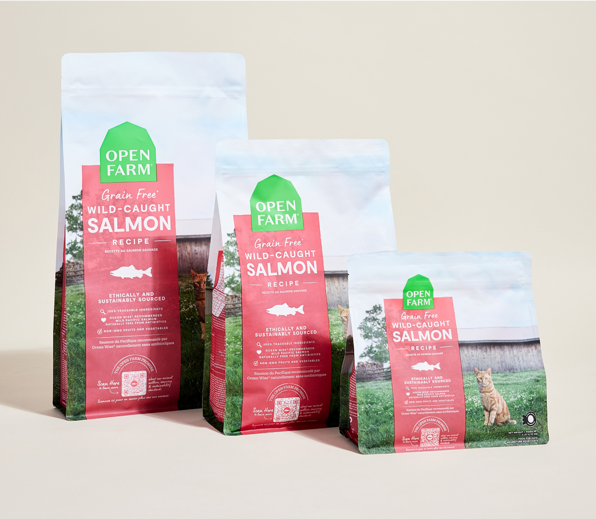 Cat Kibble product image 9