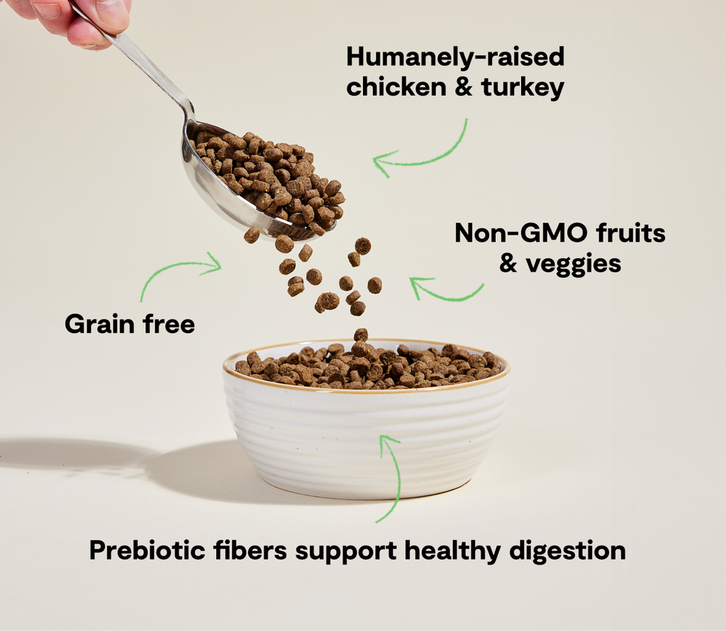 Cat Kibble product image 5