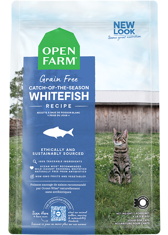 Dry Cat Food product image 1