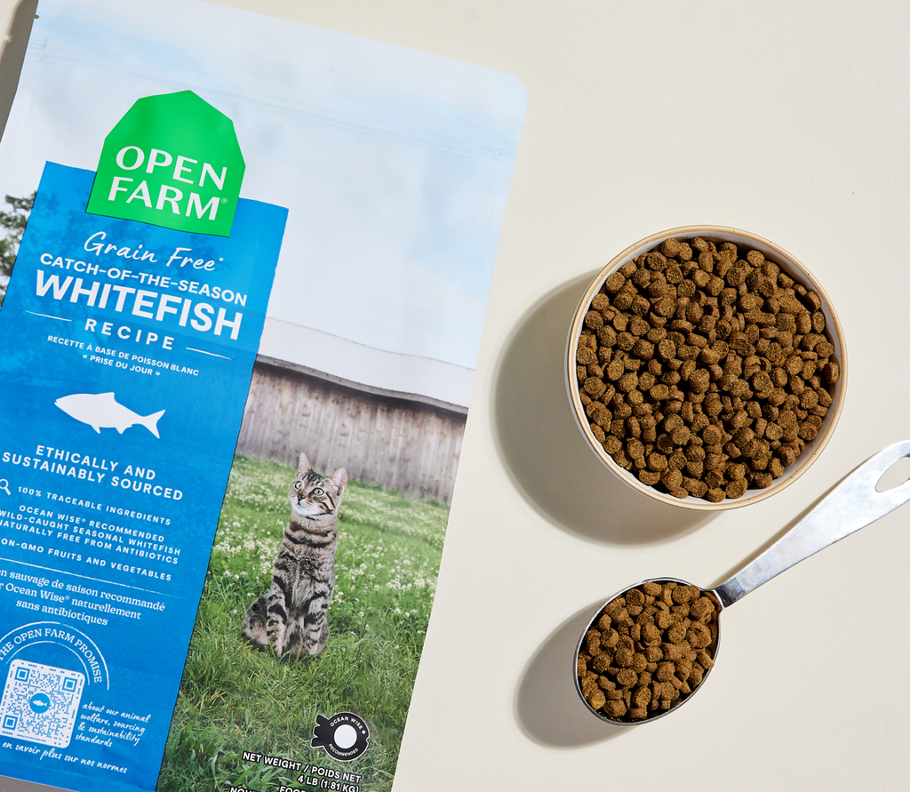 Dry Cat Food product image 6