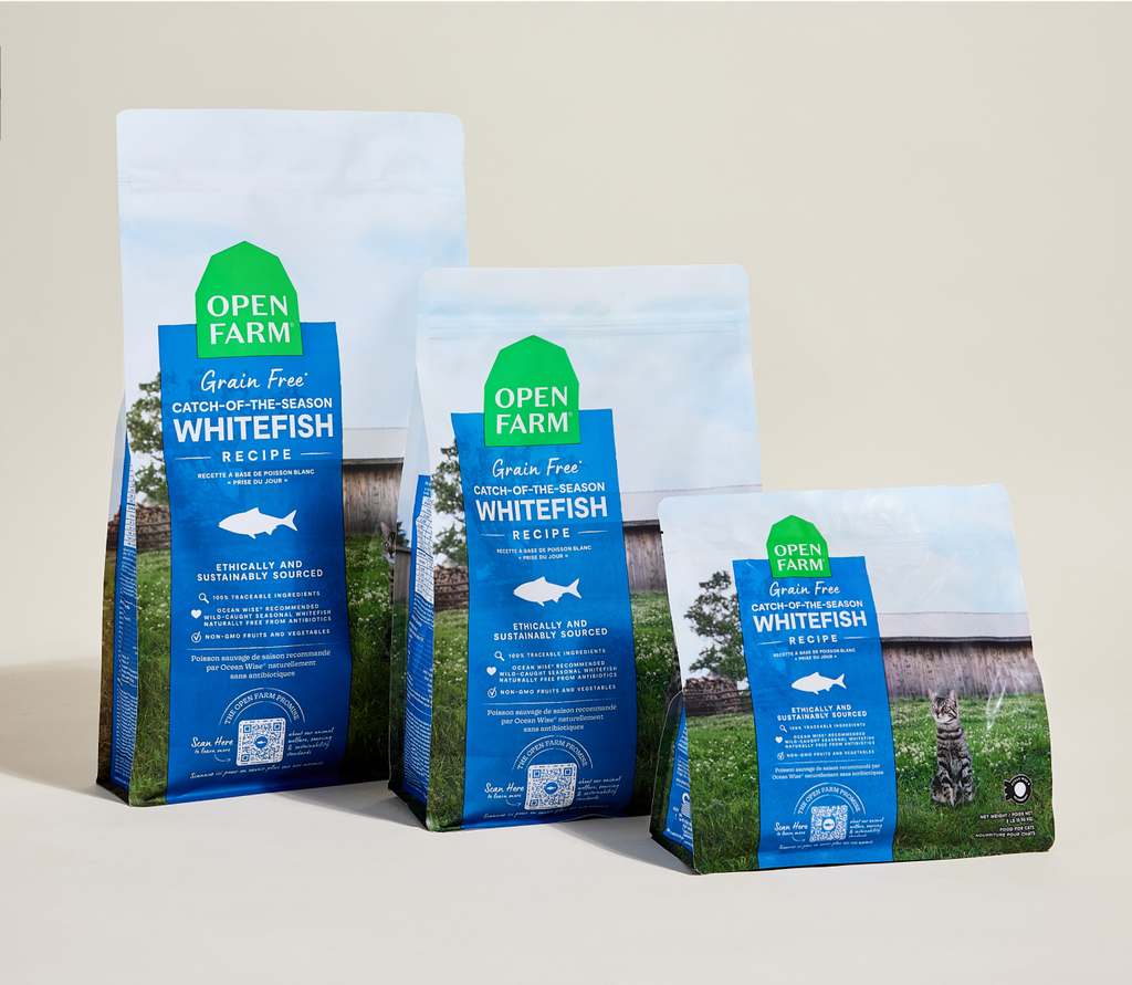 Dry Cat Food product image 9