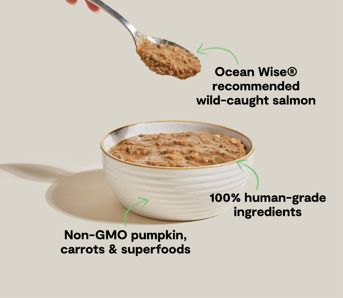 Wet Cat Food product image 4