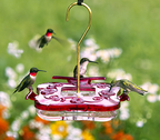 Hummingbird Feeder product image 1