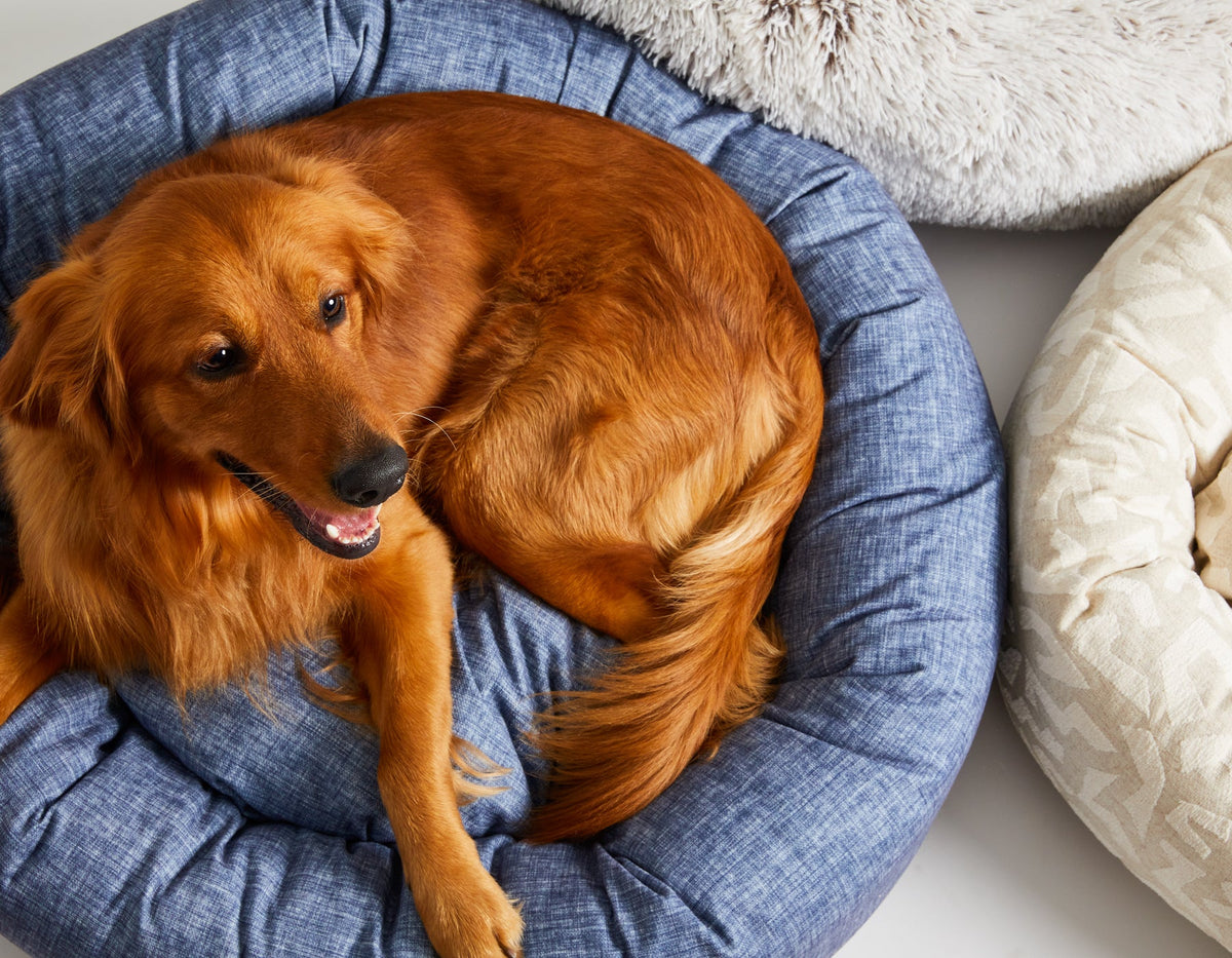 Donut Dog Bed product image 3