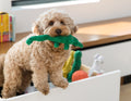 Rope Dog Toy product image 1