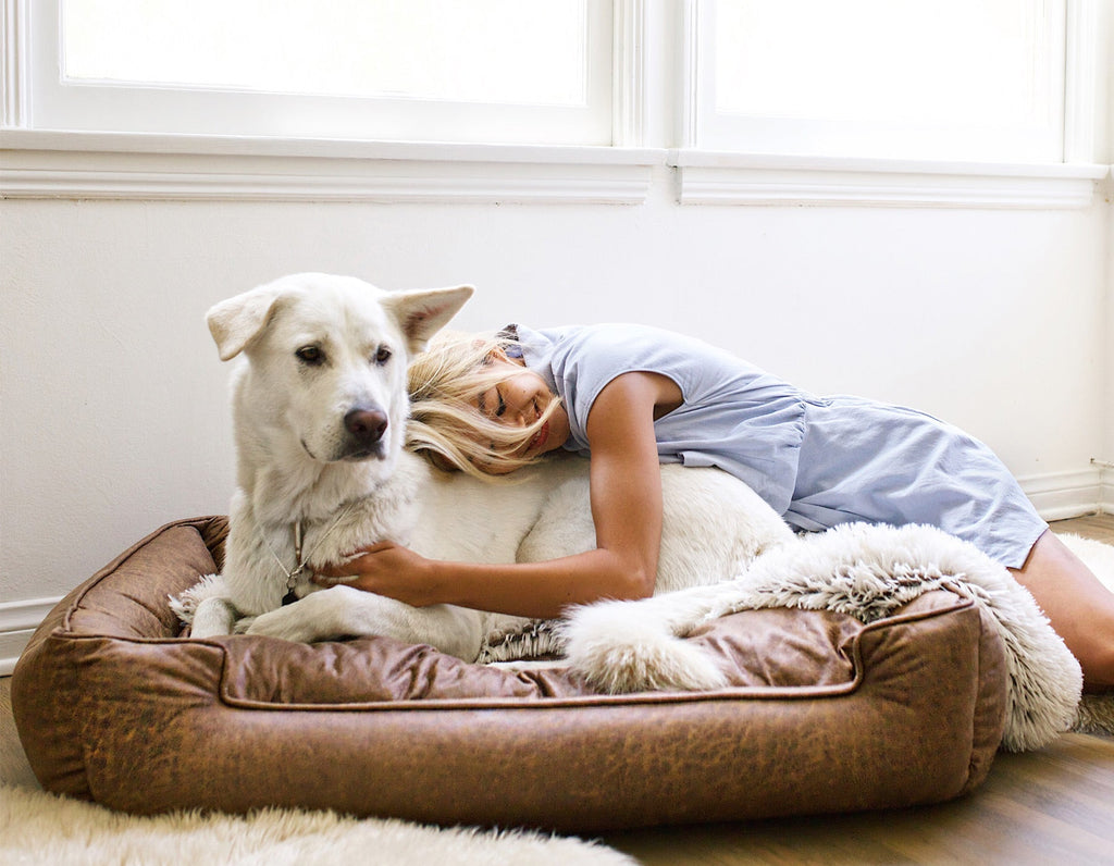 Dog Bolster Bed product image 6