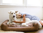 Dog Bolster Bed product image 6
