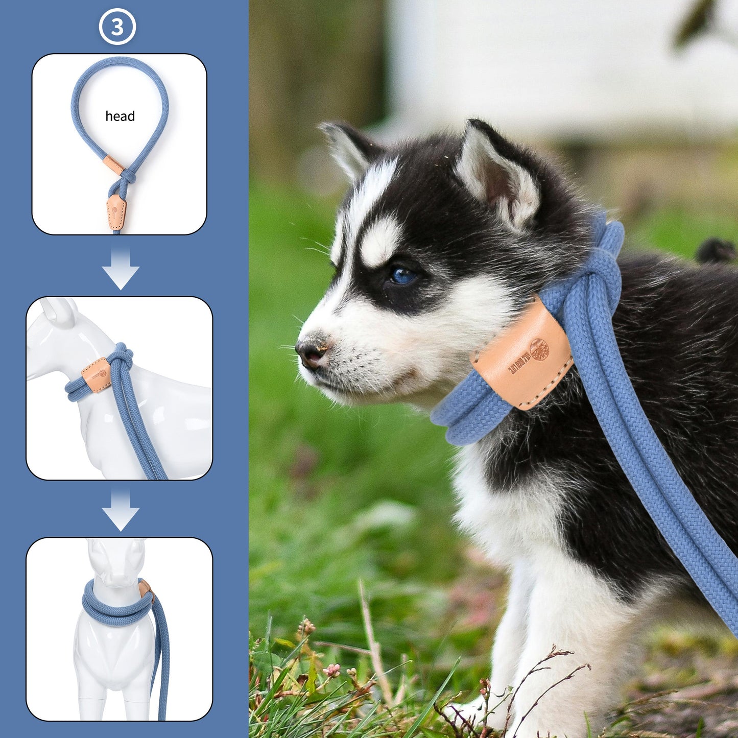 Dog Slip Leash and Harness 2-in-1 Rope Lead - No Pull All-in-One Training Leash for Puppies & Small Dogs, Adjustable Slip Lead with Soft Rope, Secure Control for Walking & Training