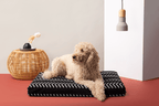 Dog Bed Cover product image 3