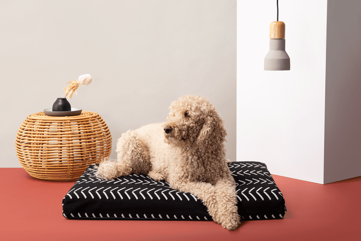 Dog Bed Cover product image 3
