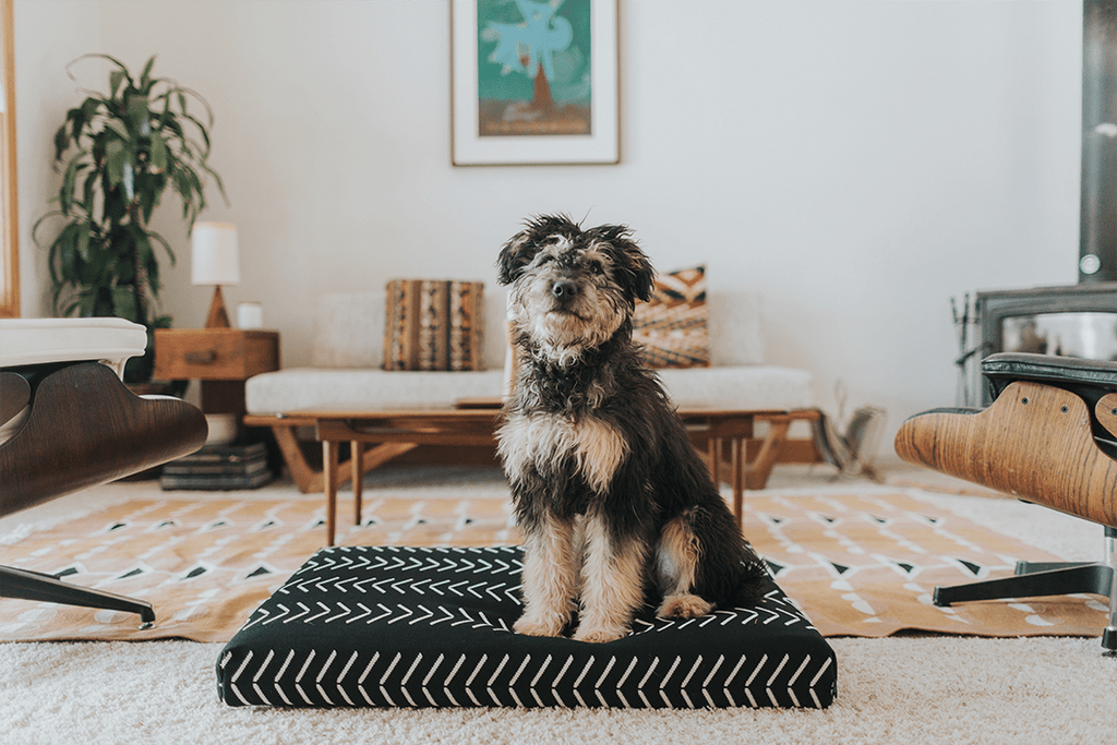 Dog Bed Cover product image 4