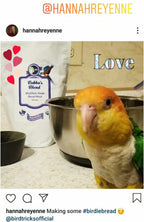 Parrot Birdie Bread Mix Bundle product image 26