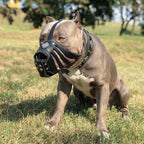 Basket Dog Muzzle product image 2