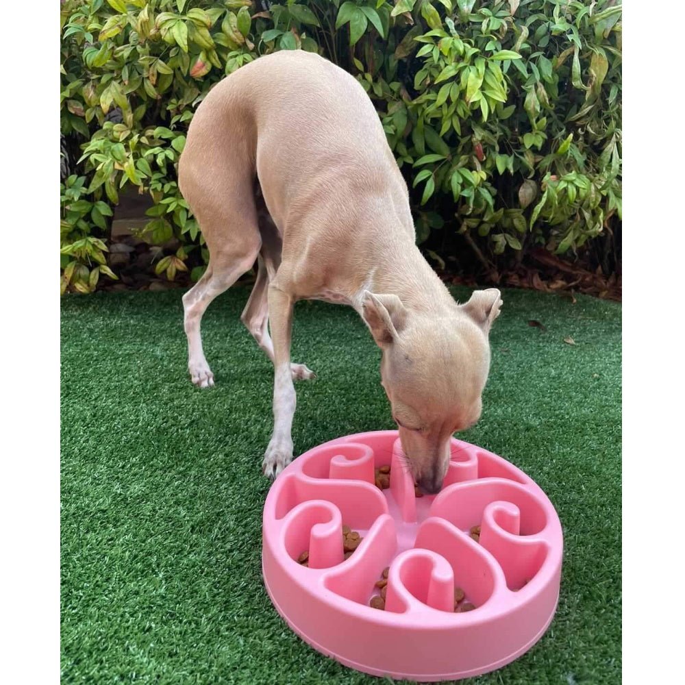 Slow Feeder Dog Bowl product image 3